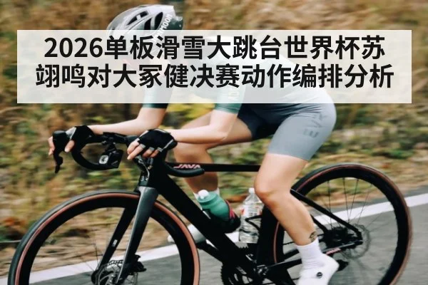2026单板滑雪大跳台世界杯苏翊鸣对大冢健决赛动作编排分析